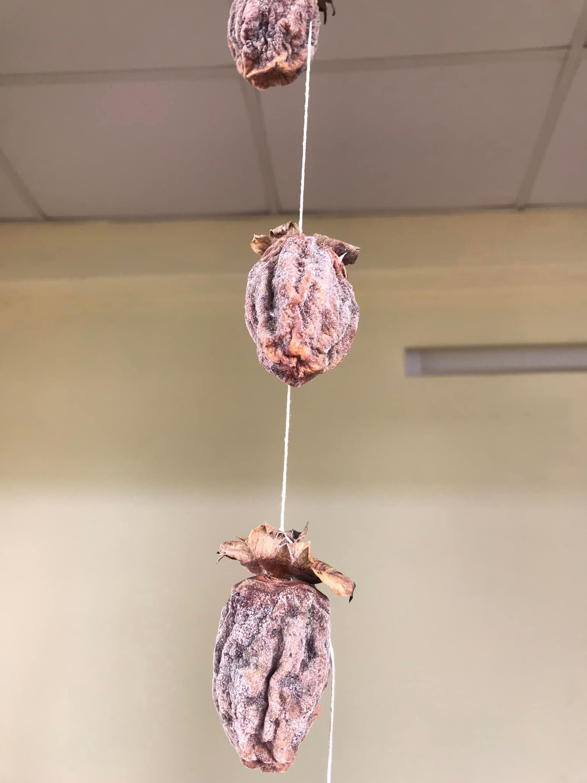 Chủ bài đăng đã học theo cách làm hồng treo gió trên mạng và bắt tay thực hiện, chụp lên cả quá trình biến đổi của nó rất cầu kỳ. Ảnh: Lương Trang