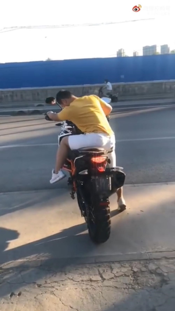 Những màn dừng xe đèn đỏ khiến nhiều người vừa không thể nhịn được cười vừa thót tim, nếu trường hợp bất ngờ xảy ra, không biết họ sẽ xử lý như thế nào.