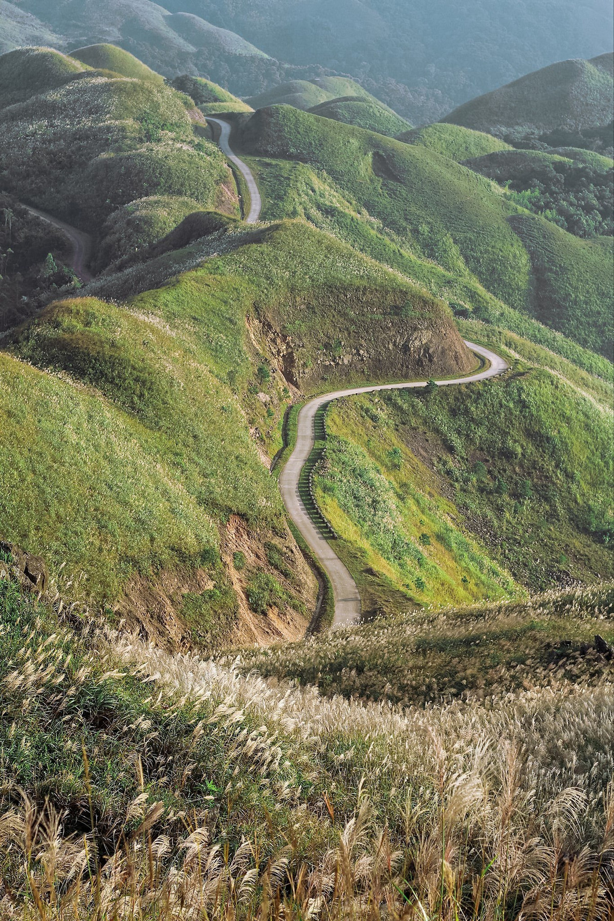 Hoa cỏ lau mọc nhiều và đẹp nhất là cung đường vành đai biên giới phía Tây chạy về hướng Lạng Sơn. Trong đó, cột mốc 1305 nằm trên đỉnh núi cao nhất của Bình Liêu là nơi đẹp nhất để bạn chiêm ngưỡng mùa cỏ lau. Ảnh: Nguyễn Đức Công