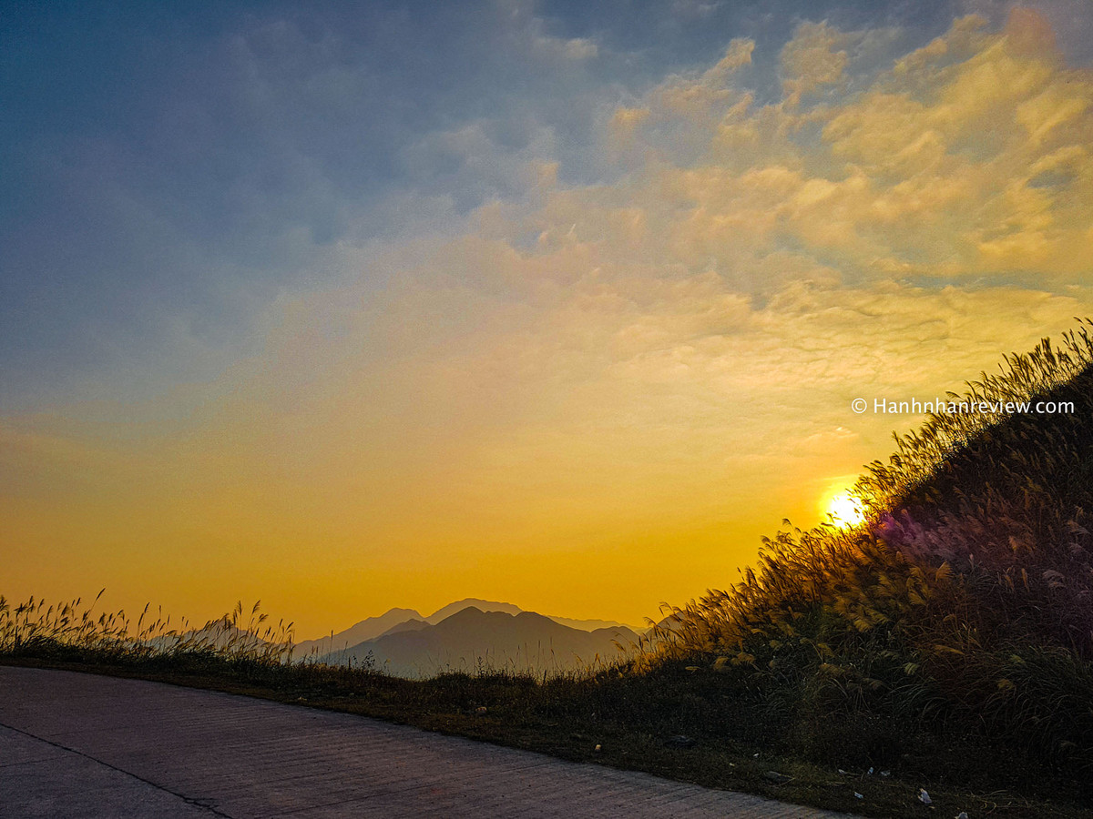 Khi đến check in Bình Liêu và chiêm ngưỡng cỏ lau ngập vàng dưới ánh nắng chắc hẳn nhiều tín đồ du lịch đã mong ngóng thời gian tới. Ảnh: Hạnh Nhân