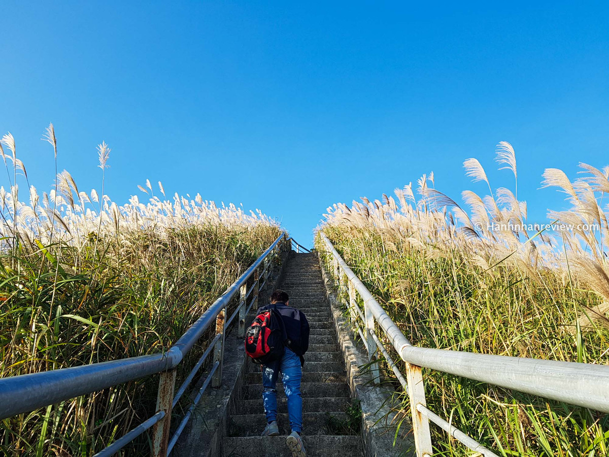 Nếu có niềm đam mê phượt, các bạn trẻ thường lựa chọn di chuyển bằng xe máy. Quãng đường từ Hà Nội đến Bình Liêu chỉ khoảng 270km, thời gian chạy xe mất khoảng 7-8 tiếng, cung đường lại khá đơn giản, dễ dàng, và không nhiều nguy hiểm. Ảnh: Hạnh Nhân