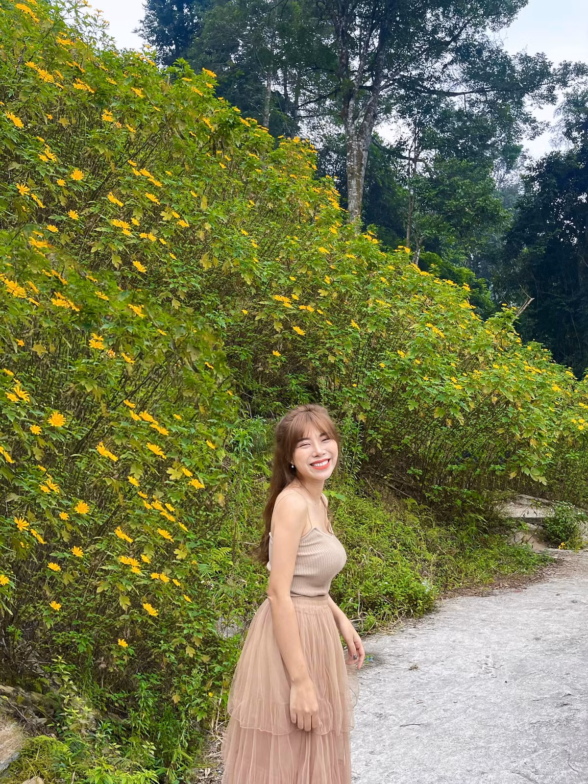 Thời điểm bình minh ló rạng, sương vẫn còn đọng trên lá cũng chính là khoảnh khắc tuyệt vời để ngắm hoa. Ảnh: Huyền Bùi