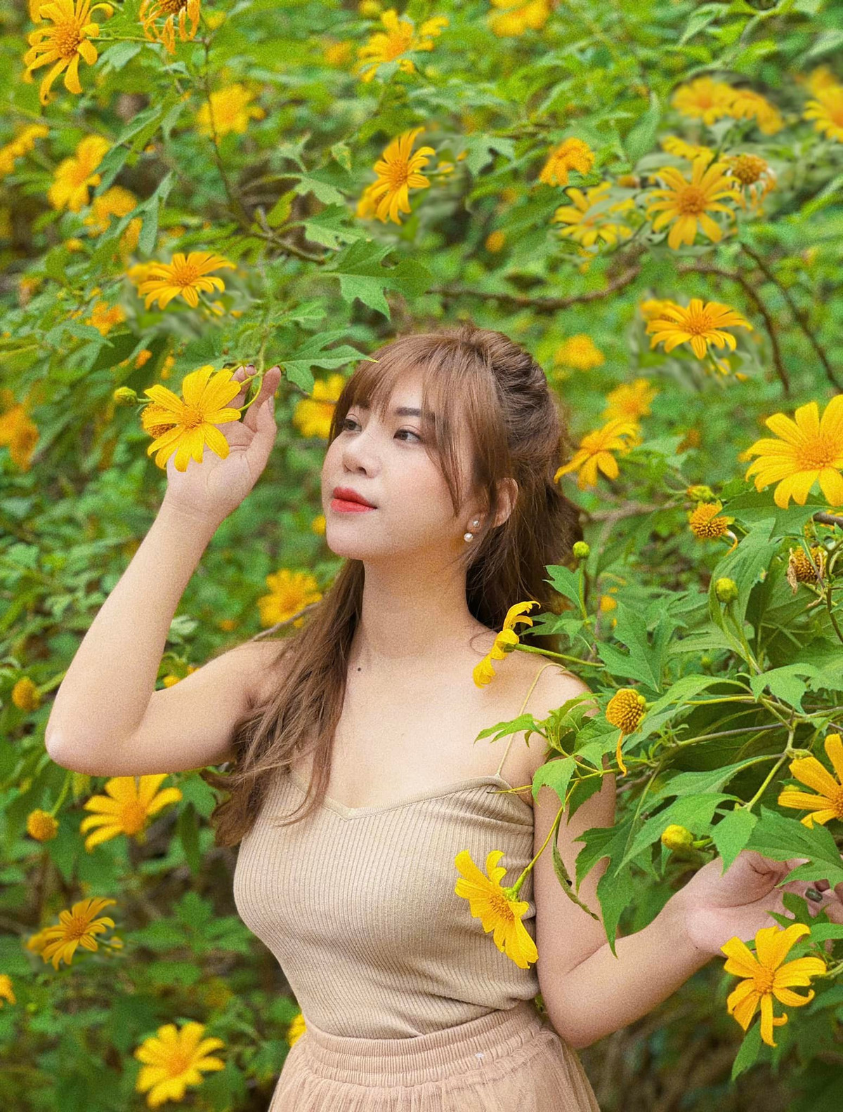 Dù chỉ là loài hoa dại sống giữa lớp đất đai khô cằn, hoa dã quỳ vẫn tự tin vươn mình khoe sắc, thu hút bao ánh nhìn và níu giữ du khách đi đường. Ảnh: Huyền Bùi