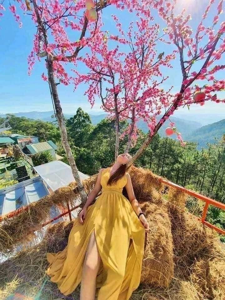 Đa phần cư dân mạng ai cũng cảm thấy vui vẻ và thú vị khi ngắm bộ ảnh này.