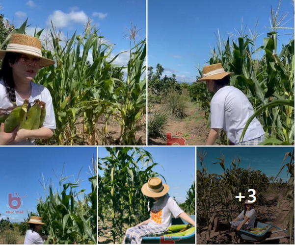 Mới đây trên Facebook cá nhân, "cô dâu lừa đảo" ở Bắc Giang có tên NTVA, nick name là Tina Duong đã chia sẻ loạt hình ảnh làm vườn khiến nhiều người ngỡ ngàng. Theo như cô gái này chia sẻ, cô đang trong hành trình 21 ngày gieo mầm lại sự sống, tìm lại chính bản thân mình. Ảnh: Chụp màn hình