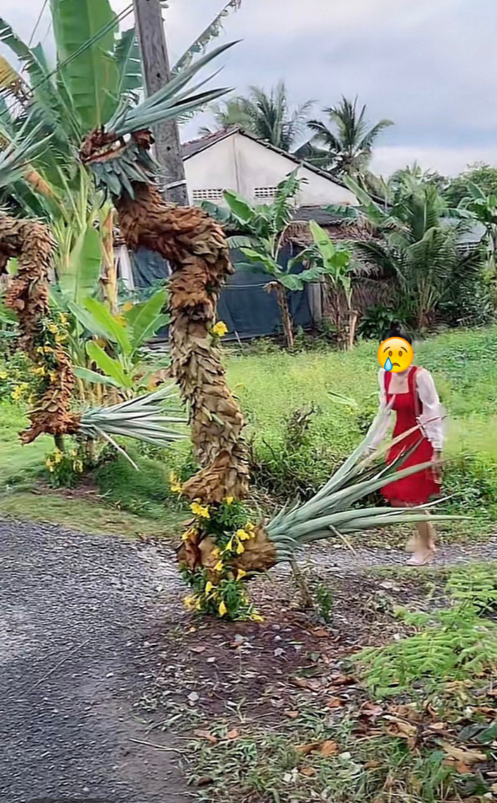 Một cô gái đã chia sẻ câu chuyện đi dự đám cưới một người quen biết nhưng không được ai ra tiếp đón. Cụ thể mở đầu video là hình ảnh một cô gái diện chiếc váy đỏ rất nổi bật, trang điểm xinh đẹp, vì cảm thấy bản thân không được tôn trọng nên cô gái đã quyết định ra về. Ảnh: Cắt ra từ clip