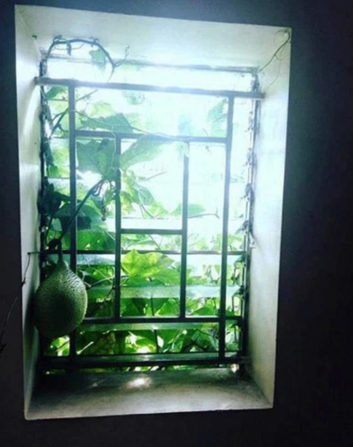 Dâng đến tận miệng thế này mà còn không xơi nữa thì hơi phí. Ảnh: Tổng hợp