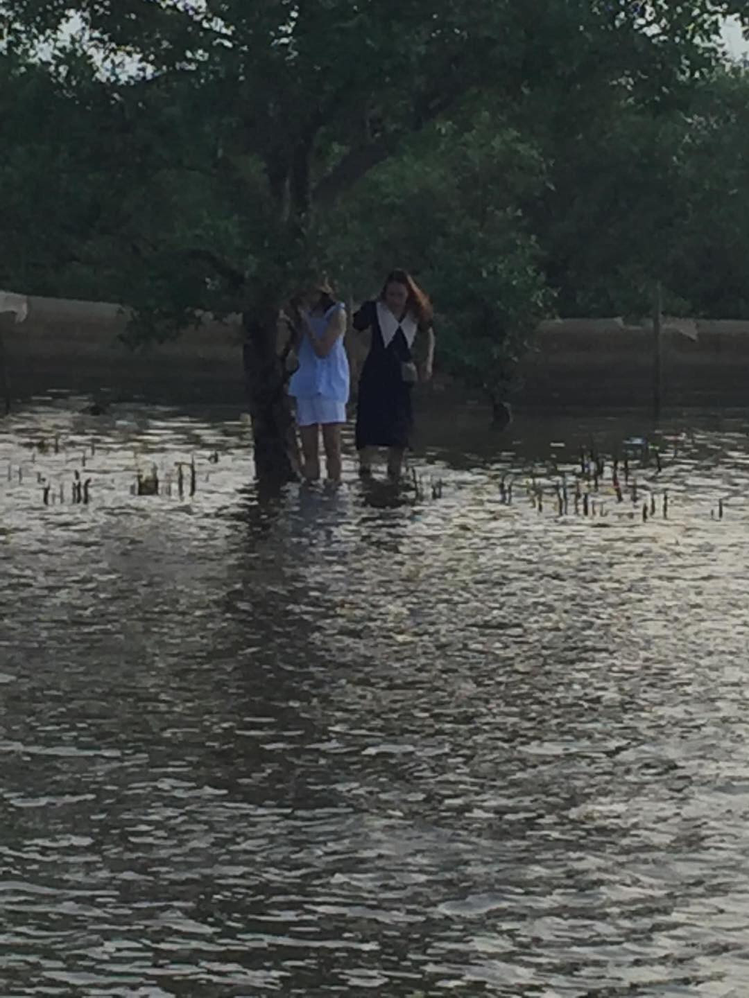 Loạt hình ảnh này sau khi đăng tải lên MXH đã khiến nhiều người dở khóc dở cười, bởi lẽ để đến được đây sẽ phải đi từ sáng sớm và địa hình khá khó khăn.