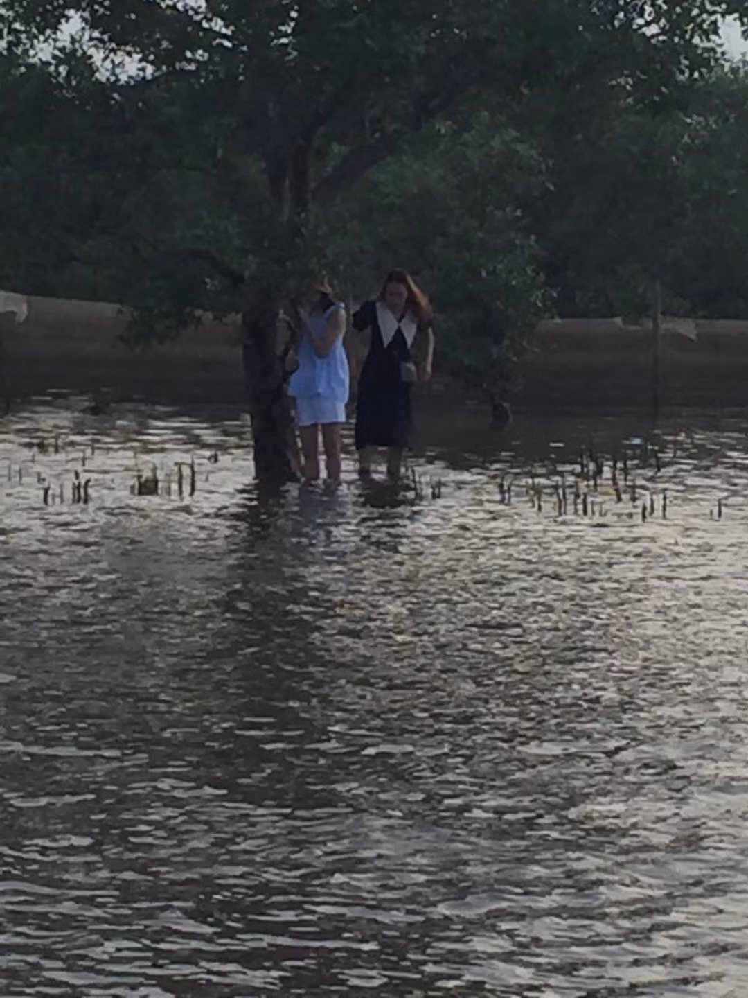 Loạt hình ảnh này sau khi đăng tải lên MXH đã khiến nhiều người dở khóc dở cười, bởi lẽ để đến được đây sẽ phải đi từ sáng sớm và địa hình khá khó khăn.