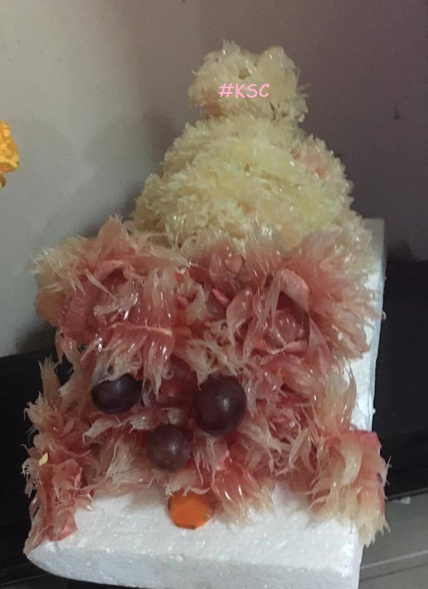 Qua bàn tay gái đoảng những chú chó bưởi trở thành một con vật hoàn toàn khác, không giống những chú chó cho lắm.