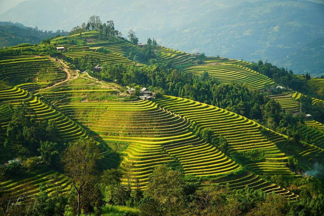 Bản Luốc là địa điểm có nhiều ruộng bậc thang đẹp nhất và nhiều tầng nhất Hoàng Su Phì. Khi khám phá Hoàng Su Phì, Bản Luốc chắc chắn là một điểm đến vô cùng đúng đắn đối với du khách. Ảnh: instagram: ichi.journal