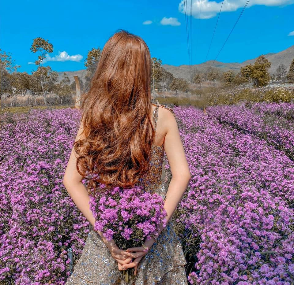 Vườn hoa Sumo Bà Rịa không gian lãng mạn đẹp tựa trời Âu cũng là nơi check in sống ảo lý tưởng. Ảnh: FB Lâm Nhân Ái