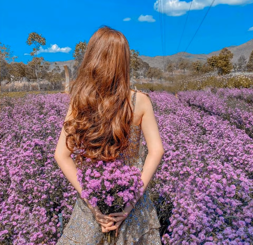 Vườn hoa Sumo Bà Rịa không gian lãng mạn đẹp tựa trời Âu cũng là nơi check in sống ảo lý tưởng. Ảnh: FB Lâm Nhân Ái