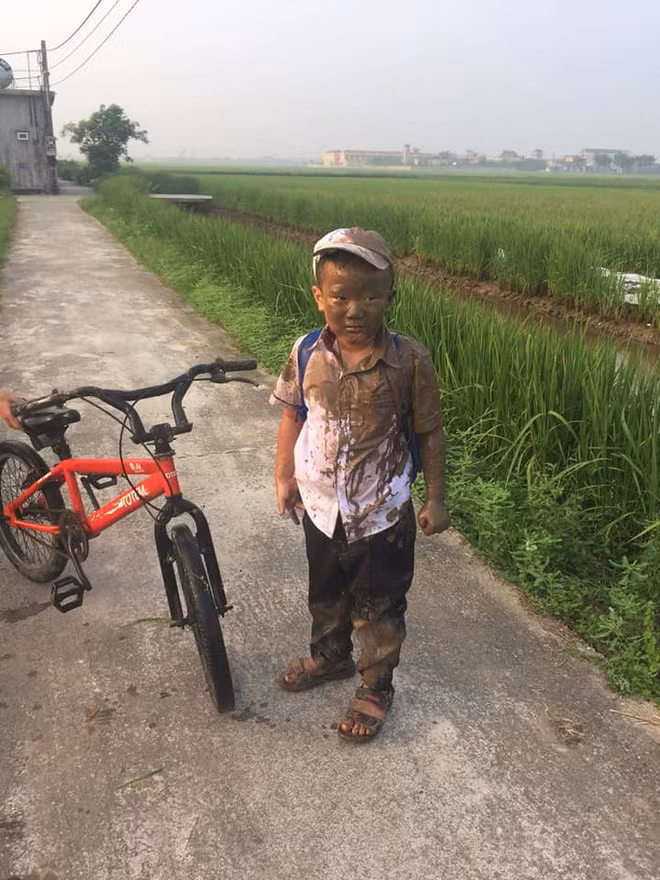 Trên mạng không ít lần xuất hiện những tai nạn lao xuống ruộng của các bé được cư dân mạng chia sẻ lại.