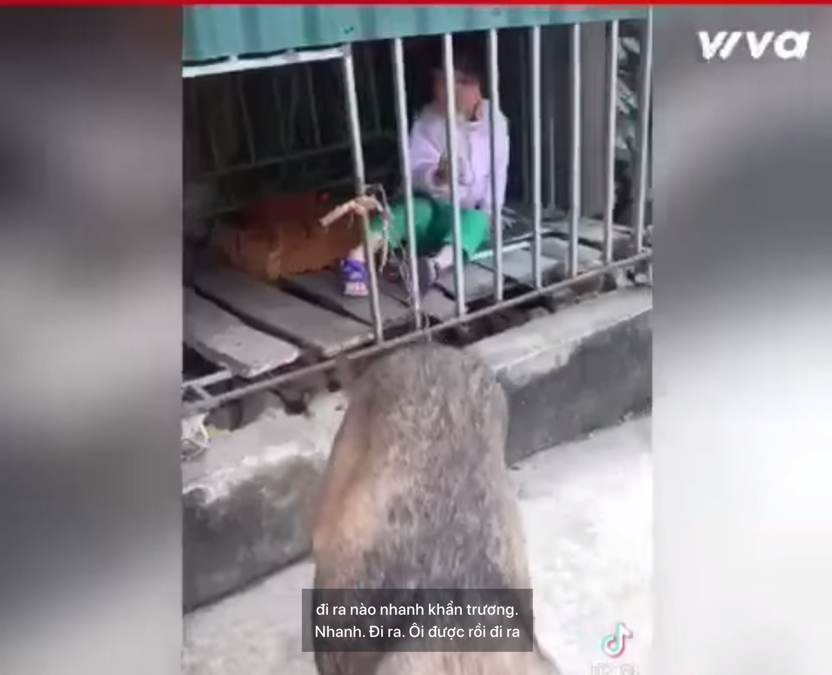 Màn chui vào chuồng chó đầy sự "cạn lời" của một bé gái nào đó.