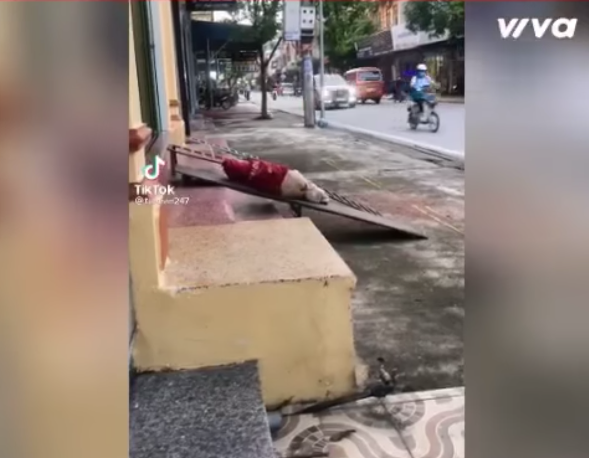 Con gái nhà người ta chơi đồ hàng, búp bê, còn bé đây chỉ thích leo trèo tập làm vận động viên leo núi thôi.