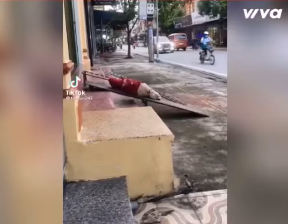 Con gái nhà người ta chơi đồ hàng, búp bê, còn bé đây chỉ thích leo trèo tập làm vận động viên leo núi thôi.