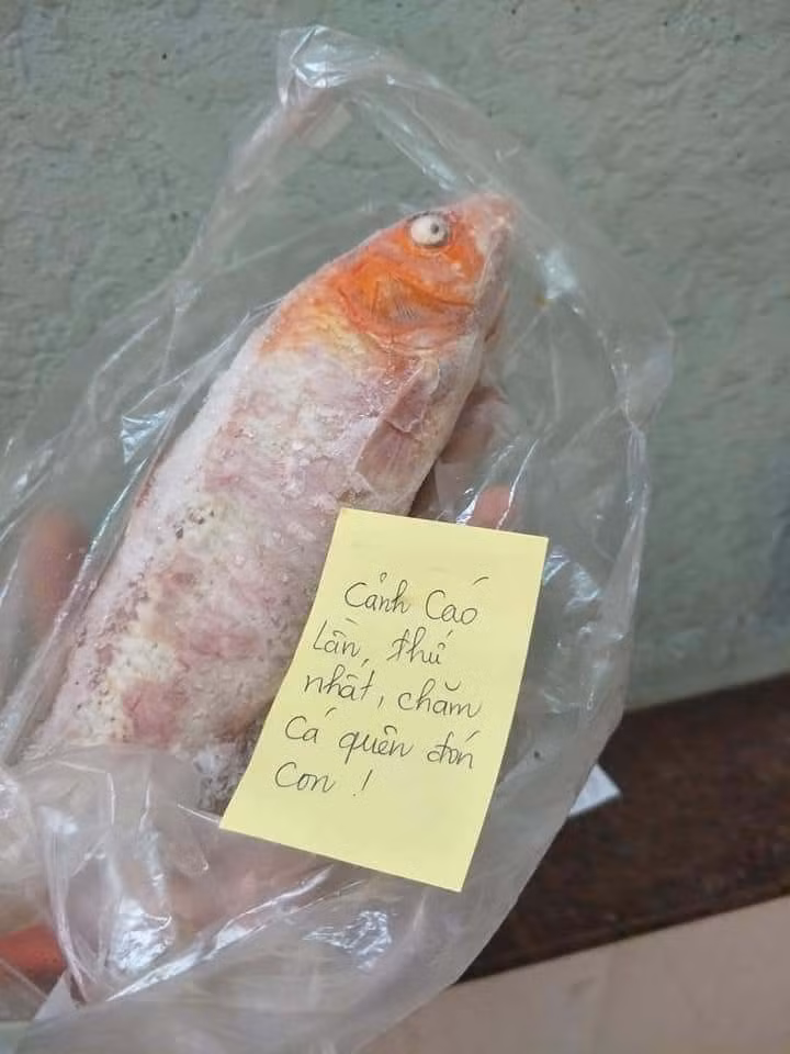 Trước đó, mạng xã hội cũng từng xôn xao hình ảnh đàn cá Koi bị rán giòn của một thanh niên đi karaoke về muộn, cứ 30 phút vợ lại cho vào chảo một "em" khiến người này vô cùng nóng ruột và phải đầu hàng về ngay.