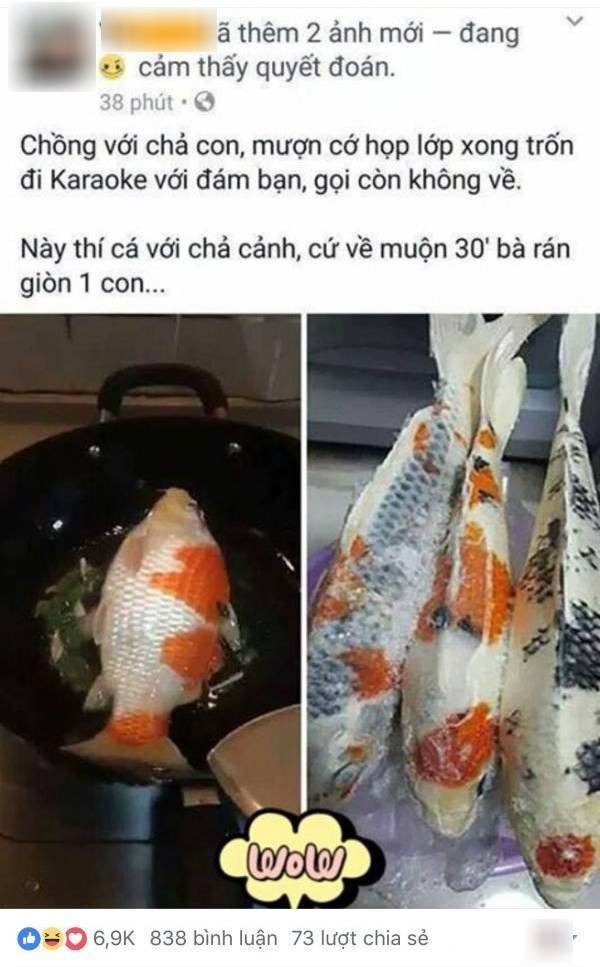 Đây cũng không phải lần đầu tiên những chú cá đắt đỏ bị "hóa phép" vào nồi.