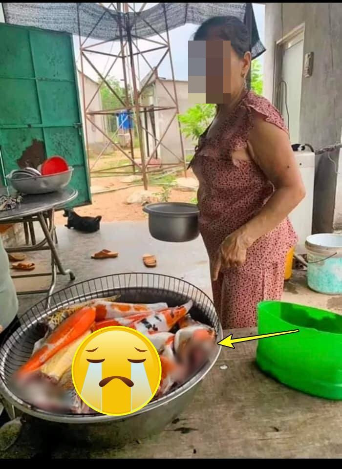 Tài khoản Facebook đã chia sẻ hình ảnh bữa trưa đắt nhất từ trước đến nay của anh kèm dòng trạng thái uất ức, đau khổ. Đây là bữa trưa bất ngờ mẹ chuẩn bị cho mình, kèm lời hứa hẹn của bà có món cá chép chiên thật ngon.