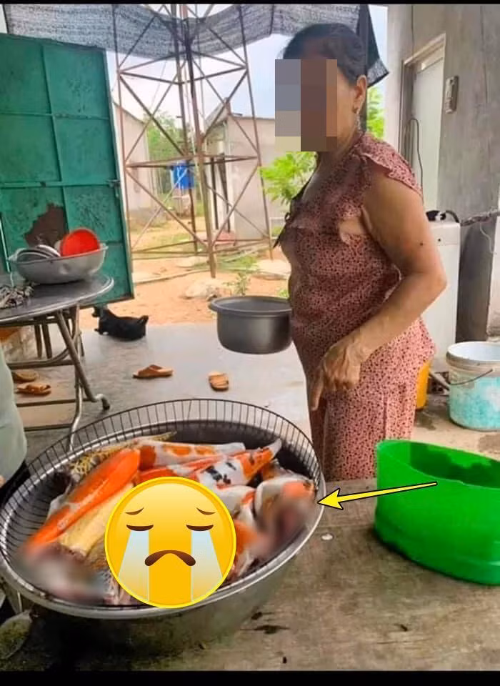 Tài khoản Facebook đã chia sẻ hình ảnh bữa trưa đắt nhất từ trước đến nay của anh kèm dòng trạng thái uất ức, đau khổ. Đây là bữa trưa bất ngờ mẹ chuẩn bị cho mình, kèm lời hứa hẹn của bà có món cá chép chiên thật ngon.