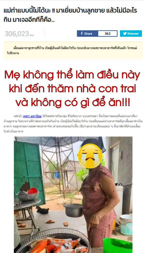 Câu chuyện về đàn cá Koi xấu số mới đây ở Thái Lan đã khiến người xem không khỏi xót xa cho chủ nhân của bể cá. Cụ thể, một bà mẹ đã sử dụng đàn cá đắt đỏ này để chiên lên chảo, thành bữa ăn cho cậu con trai của mình.