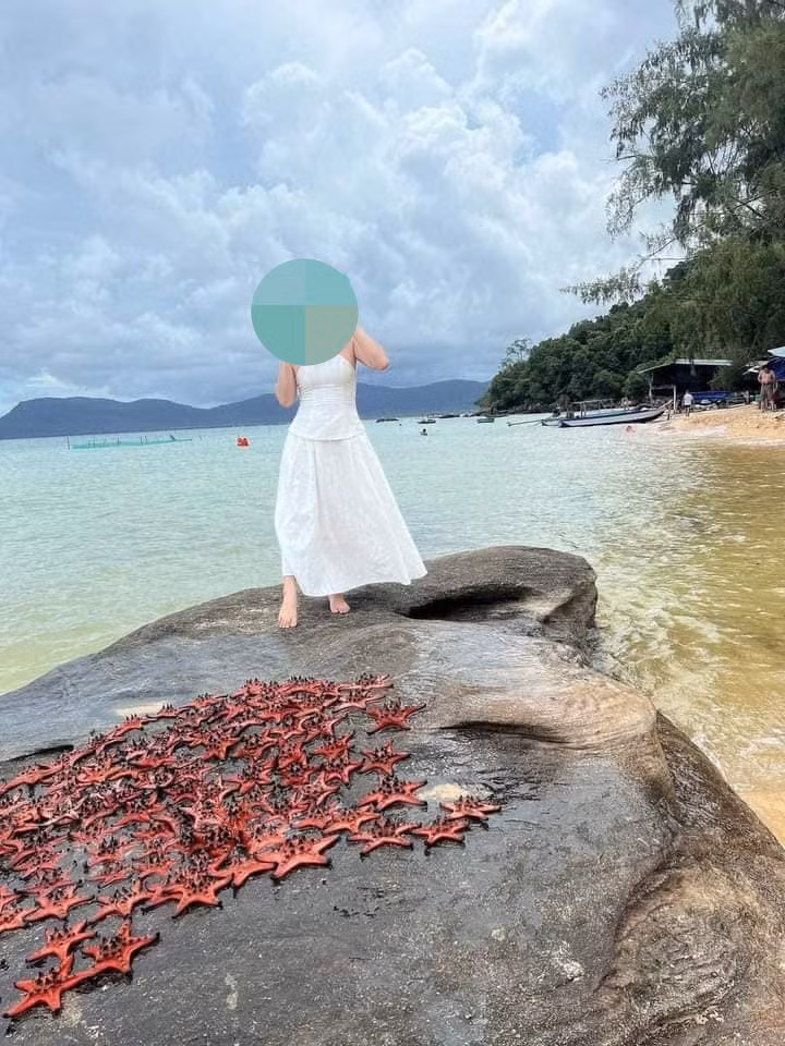 "Bạn có biết nó sẽ không sống nổi không? Chụp với sao biển không có đẹp gì đâu”, "Sao ko ví khi bạn thở dưới nước sẽ như thế nào mà bắt chúng lên cạn",...là những bình luận bức xúc của cư dân mạng.