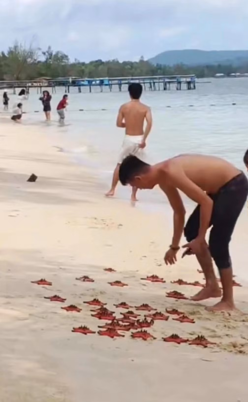 Đoạn clip một nam du khách đang bắt sao biển ở Rạch Vẹm (Phú Quốc) cũng từng là chủ đề gây bàn tán. Anh chàng này xếp chúng lên bờ, căn chỉnh vị trí để chuẩn bị chụp ảnh.