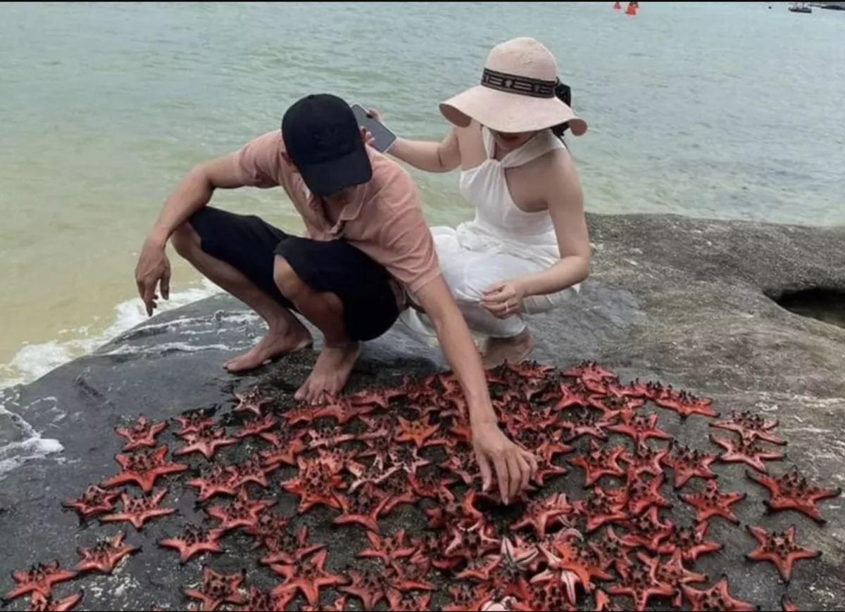 Những bức ảnh du khách tự sướng" bên xác hàng chục con sao biển được cho là đã lan truyền từ cách đây vài ngày. Hiện tại, hình ảnh trên trang cá nhân của các nhân vật trong nhóm du khách đã bị gỡ bỏ.