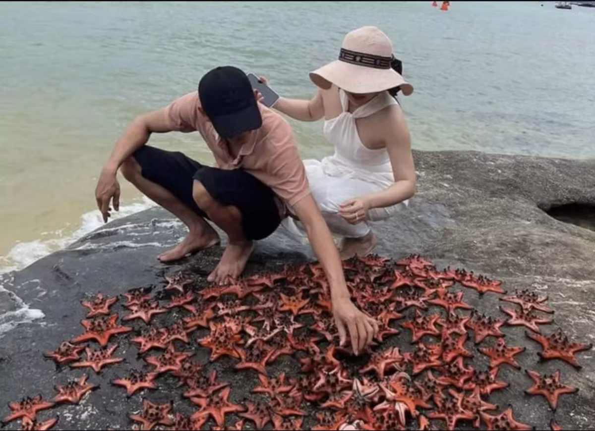 Những bức ảnh du khách tự sướng" bên xác hàng chục con sao biển được cho là đã lan truyền từ cách đây vài ngày. Hiện tại, hình ảnh trên trang cá nhân của các nhân vật trong nhóm du khách đã bị gỡ bỏ.