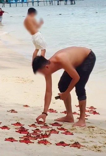 Nhiều người bức xúc trước hành động thiếu ý thức của nam du khách. Bởi trước đó nhiều sự việc tương tự cũng gây ồn ào khi nhiều du khách tới Rạch Vẹm bắt sao biển lên bờ chụp ảnh, để phơi nắng khiến loài này chết khô.