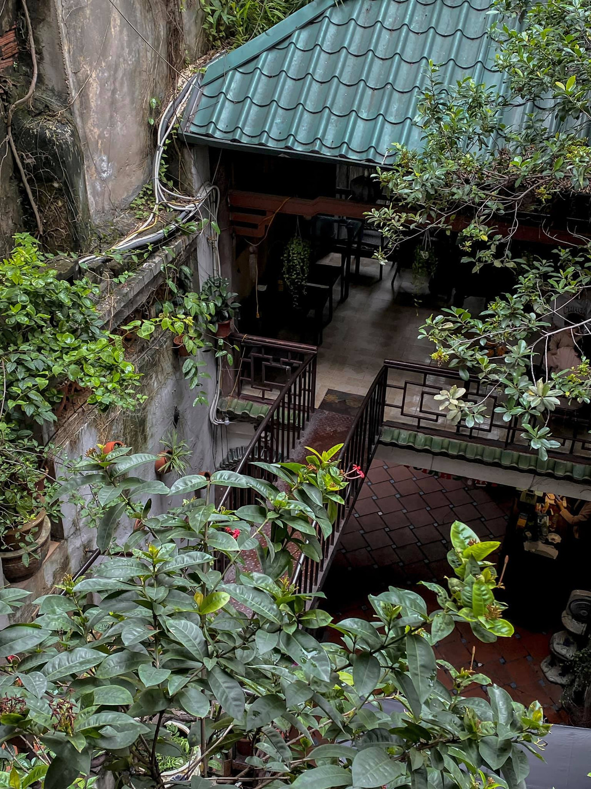 Nếu các bạn trẻ đang tìm một chốn không gian yên bình, nhẹ nhàng và không chút xô bồ để thư giãn thì quán cà phê Phố cổ tại 11 Hàng gai chính là địa điểm lý tưởng. Ảnh: IG: minhtri253