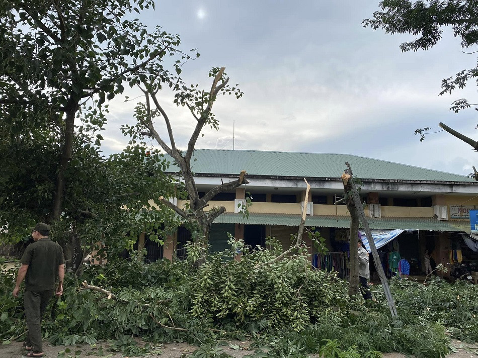 Người dân cùng lực lượng chức năng hỗ trợ chặt tỉa các cây cao nguy cơ đổ gãy đè vào nhà dân khi bão Noru đổ bộ.