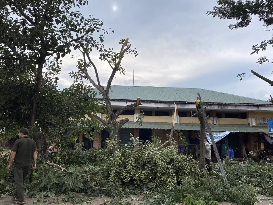 Người dân cùng lực lượng chức năng hỗ trợ chặt tỉa các cây cao nguy cơ đổ gãy đè vào nhà dân khi bão Noru đổ bộ.