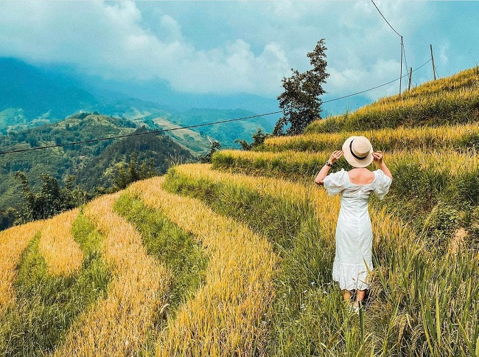 Nhắc tới điểm du lịch mùa lúa chín không thể bỏ qua Sa Pa. Vào độ tháng 9, tháng 10, nơi đây lại đón lượng khách nhiều nhất. Ảnh: phananh0104