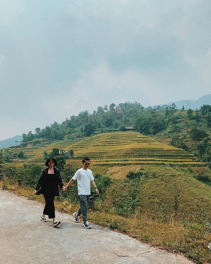 Hoàng Su Phì (Hà Giang) là điểm check in mùa lúa chín không thể bỏ qua. Đây được xem là một trong những địa điểm ngắm mùa lúa chín miền Bắc đẹp và trong trẻo, hút khách thăm quan bậc nhất cả nước. Ảnh: @minh_inzaghi