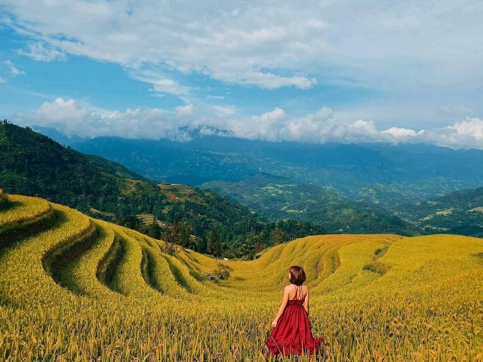 Theo những người có kinh nghiệm du lịch Tây Bắc, mùa lúa chín tại Hoàng Su Phì thường kết thúc vào tháng 10. Ảnh: Bé Tiến