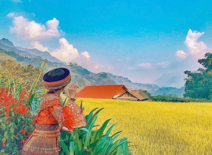 Từ trên cao, những thửa ruộng uốn lượn vàng rực phảng phất thêm mùi thơm của lúa chín đem đến cho du khách cảm giác bình yên lạ thường. Ảnh: lenana_