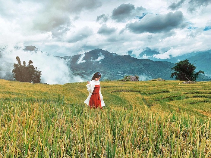 Một trong những điểm du lịch mùa lúa chín đẹp nhất miền Bắc khác chính là Y Tí (Lào Cai). Ảnh: Hoài Anh