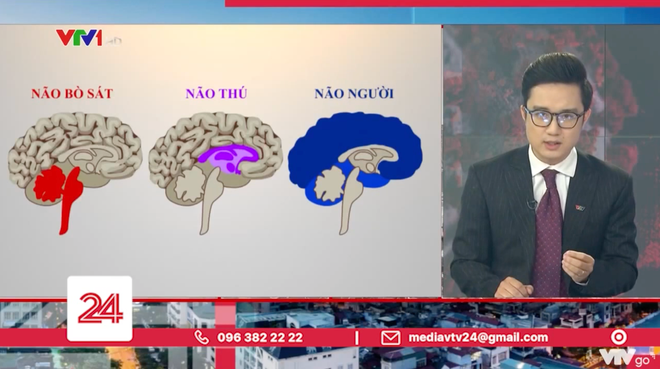 Trong 6 phút, MC VTV đã tổng hợp, phân tích, bình luận về các trường hợp vi phạm giãn cách xã hội trên địa bàn Hà Nội.