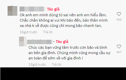 Cụ thể cô nàng chia sẻ rằng: "Ok anh em mình dùng từ sai nên anh em hiểu lầm. Chắc chắn không ai vui khi bão đến, bản thân mình xa nhà không về được cũng chỉ mong bão nhanh tan".
