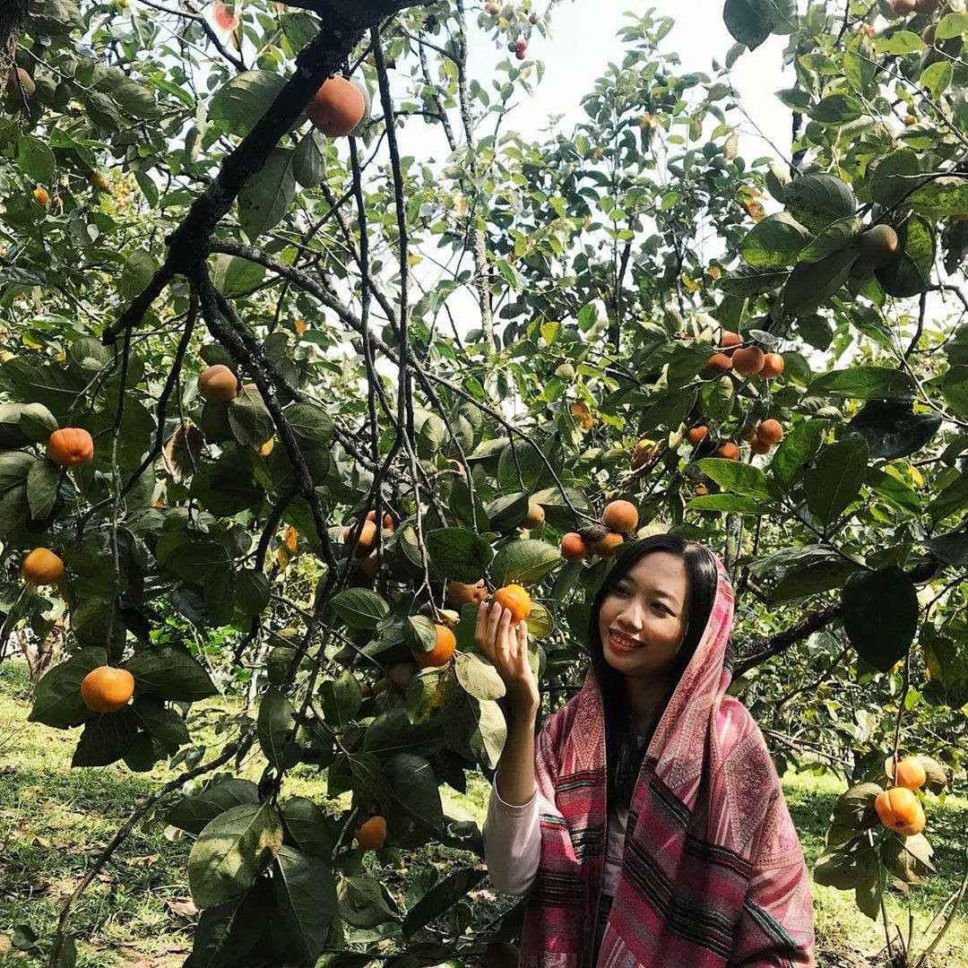 Chủ vườn hồng không xây dựng nhiều góc sống ảo nhân tạo, khiến bạn cảm giác như lạc giữa khu rừng cổ tích. Ảnh: Vườn hồng Thái Long