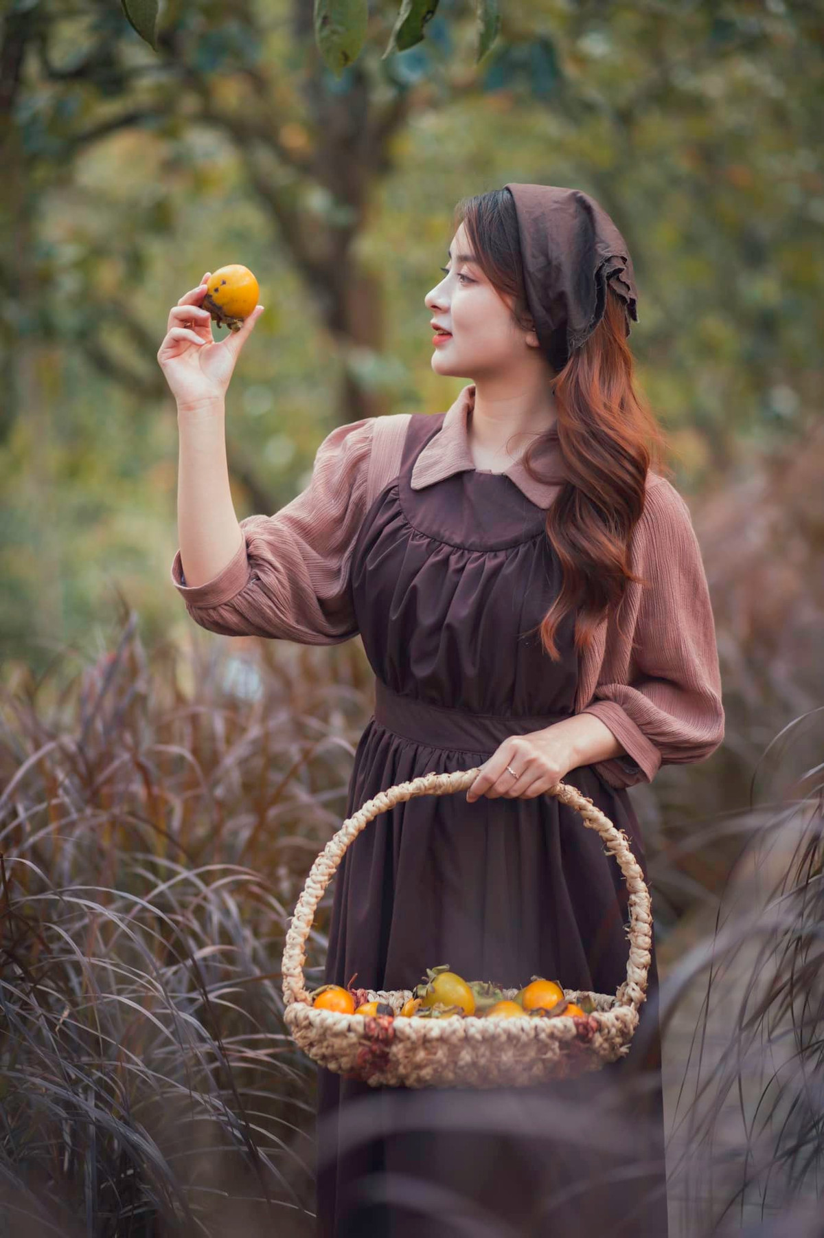 Vào mùa quả chín, lá sẽ dần rụng hết, để lộ những quả chín mọng. Tới đây, du khách có thể tự tay chọn những quả tươi ngon nhất trên cây để mua. Ảnh: Bích Phương