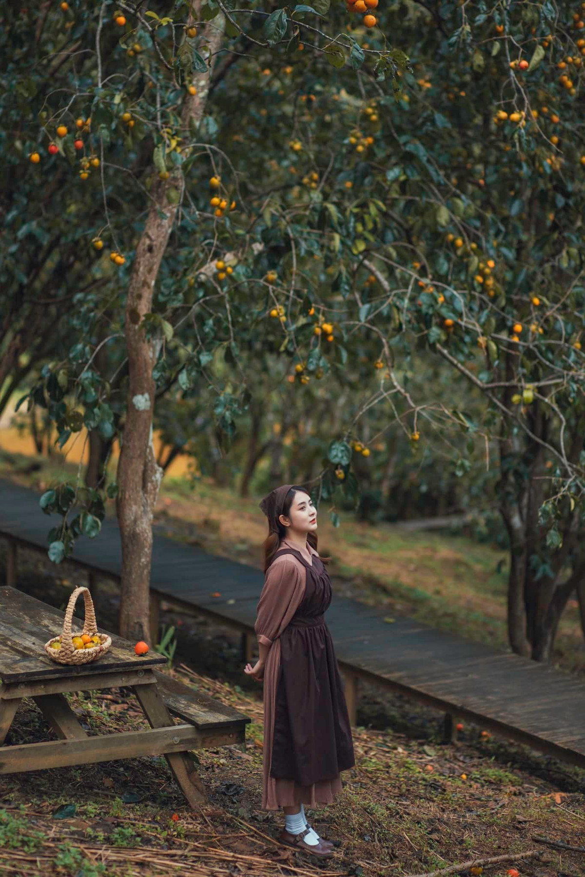 Ngoài vườn hồng, bạn có thể check-in ở nhà bong bóng, vườn cúc họa mi, khu nhà cũ… Giá vé tham quan vườn là 20.000 đồng/người. Ảnh: Bích Phương