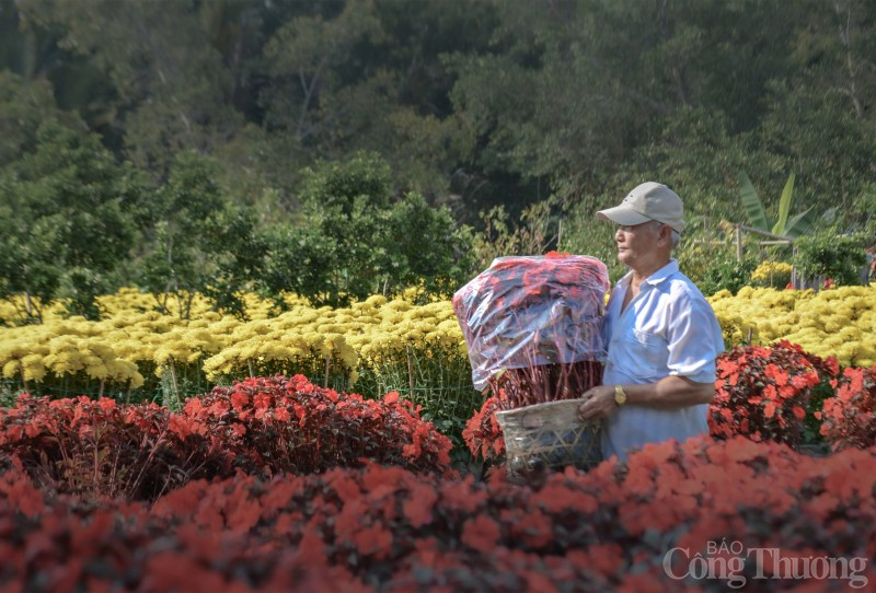 Can Tho ngap tran sac hoa ngayTet-Hinh-4