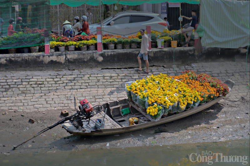 Can Tho ngap tran sac hoa ngayTet-Hinh-9