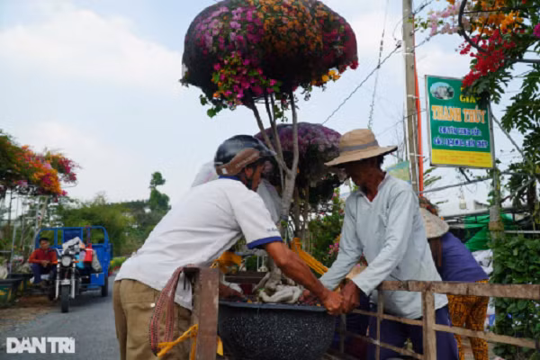 30.000 chau cuc co nguy co e, chinh quyen vao cuoc giai cuu-Hinh-6