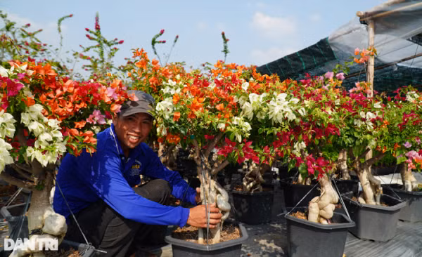 30.000 chau cuc co nguy co e, chinh quyen vao cuoc giai cuu-Hinh-7