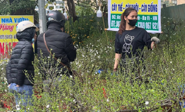 Nhat chi mai “hut” khach mua dip can Tet