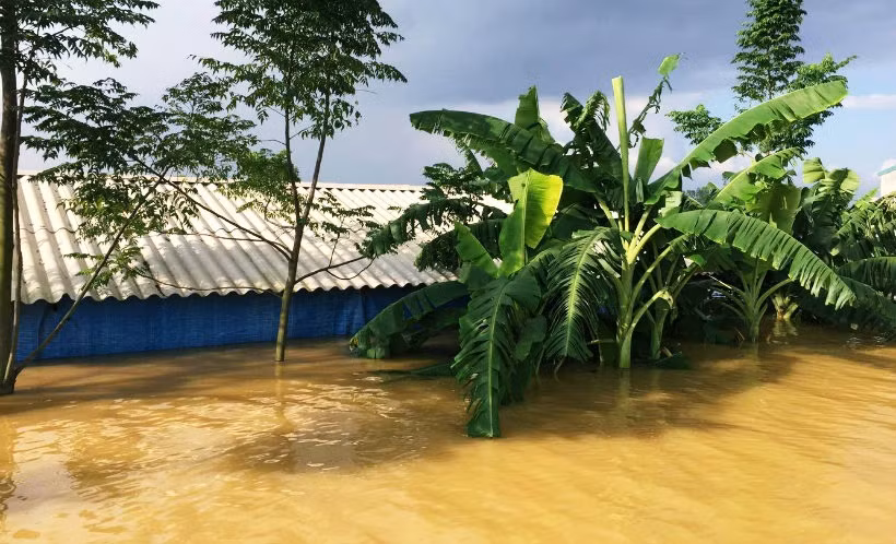 Trưa ngày 12/10, do nước chảy tràn qua cả những đoạn đê cao sông Bùi 2 (huyện Chương Mỹ) một số trang trại của người dân địa phương bị nhấn chìm.